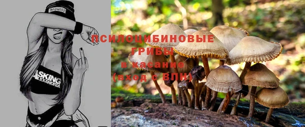 MDMA Premium VHQ Арсеньев