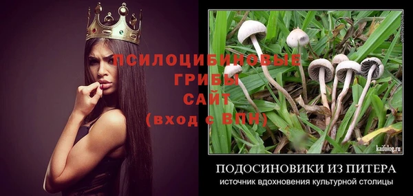 молекула духа Армянск