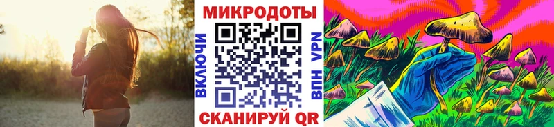 Псилоцибиновые грибы MAGIC MUSHROOMS  shop наркотические препараты  Хадыженск 