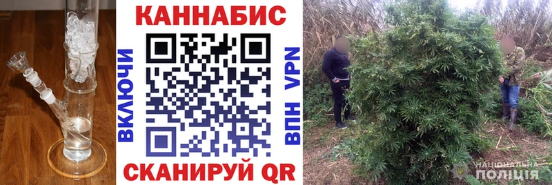 купить   Хадыженск  Бошки Шишки сатива 